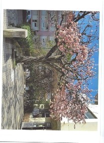 TRESPASSE DE PASTELARIA E SNACK BAR COM ALVARA DESTE 1983