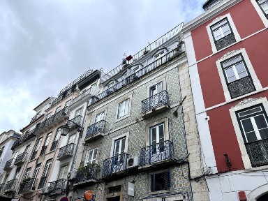 Lisboa, Estrela