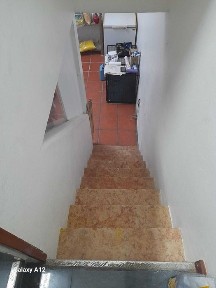 Trespasse loja de animais com banhos e tosquias