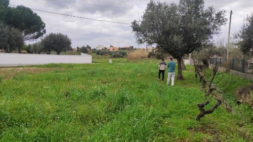 Terreno para Construção em Tomar (Minjoelho) - 2200m² - Excelente