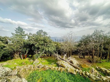 Quinta à venda em Souto da Velha