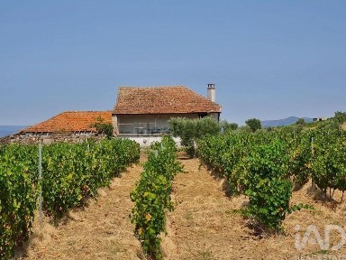Vila Flor, Bragança