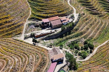 Quinta à venda em R. da Mina