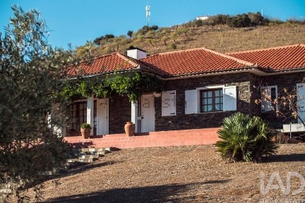 Mogadouro, Bragança
