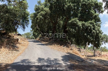 Quinta à venda em Lousa