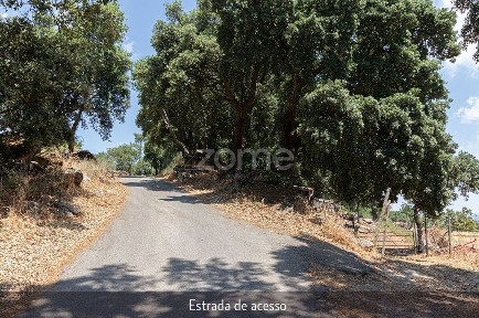 Quinta à venda em Lousa