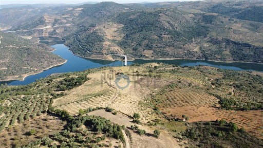 Mogadouro, Bragança