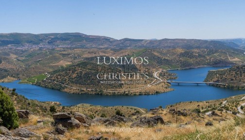 Quinta à venda em Adeganha
