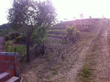 Quinta à venda em Rabal