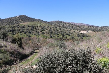 Quinta à venda em Torre de Moncorvo