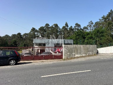 Viana do Castelo