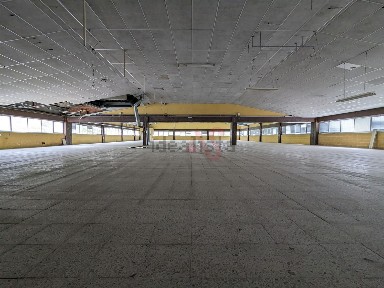 Arrendamento de armazém em Cepães e Fareja