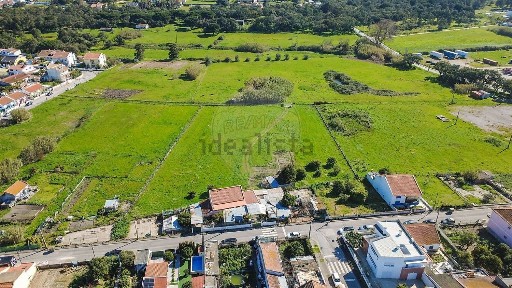 Santo António da Charneca, Rua José Dias Coelho