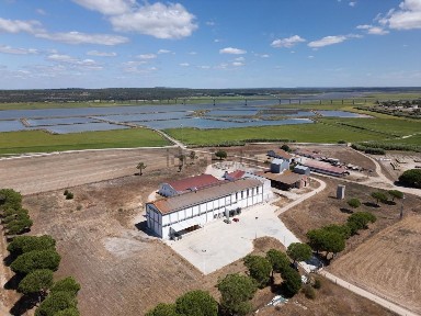 Alcácer do Sal (Santa Maria do Castelo), Álcacer do Sal