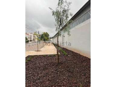 Azeitão, Vendas de Azeitão, Rua da Mana, 1