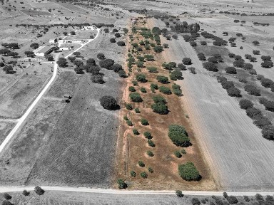 Quinta à venda em Monsaraz