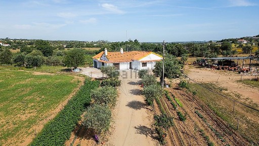 Quinta à venda em Nossa Senhora do Bispo