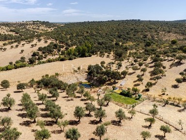 Herdade à venda em São Manços e São Vicente do Pigeiro