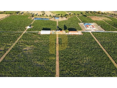 Herdade à venda em Redondo