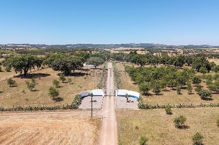 Quinta à venda em Variante do Agricultor
