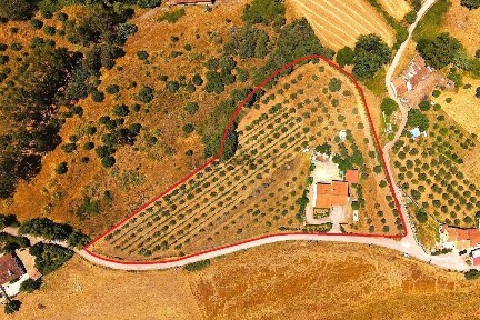 Quinta à venda em Orada