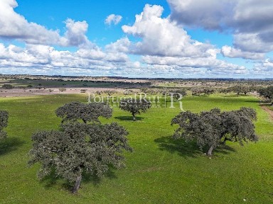 Herdade à venda em Santiago Maior