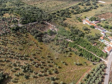 Quinta à venda em Santa Maria e Santo André