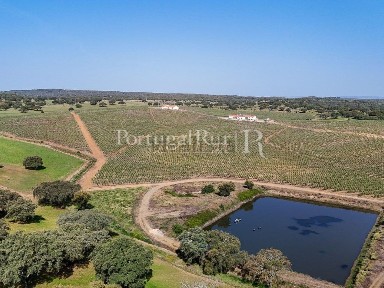 Herdade à venda em Malagueira e Horta das Figueiras