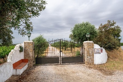 Quinta à venda em Monte Horta da Maria Francisca
