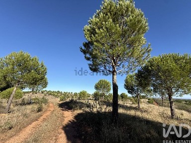 Casa ou moradia à venda em Amieira