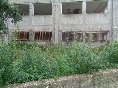 Armazém à venda em Foz do Sousa e Covelo