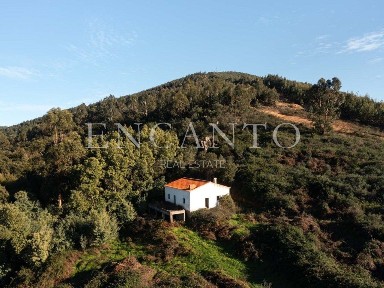 Quinta à venda em Glória