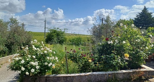 Quinta à venda em Orada