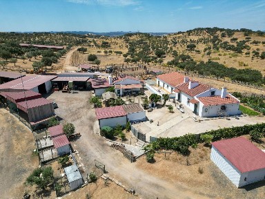 Quinta à venda em N256