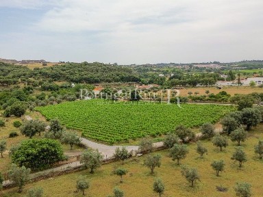 Quinta à venda em Matriz (Borba)