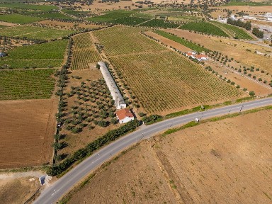 Reguengos de Monsaraz, Tapada do Alborro s/n