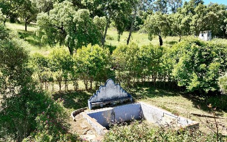 Herdade à venda em serra d'ossa s/n