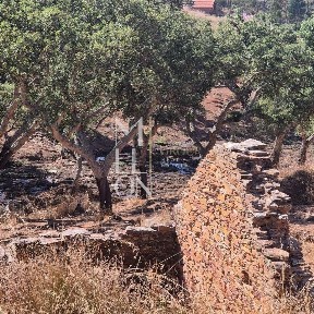 Quinta à venda em São Pedro Terena