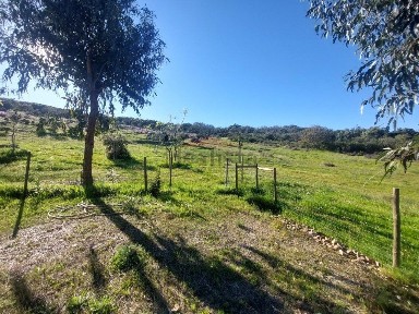 Moradia independente à venda em São Pedro Terena