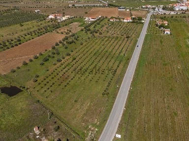 Reguengos de Monsaraz, En 255 Km55 - Quinta do Matinho