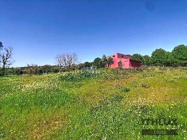 Quinta à venda em Amieira