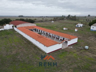 Quinta à venda em Évora