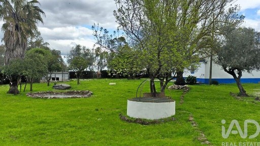 Quinta à venda em São Domingos de Ana Loura