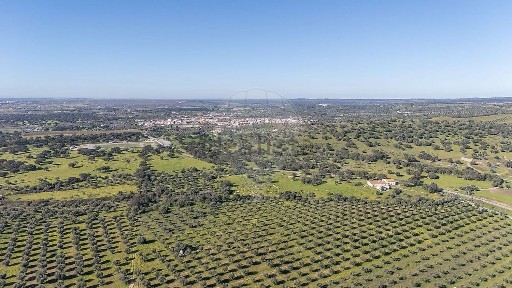 Herdade à venda na Estrada Sem Nome