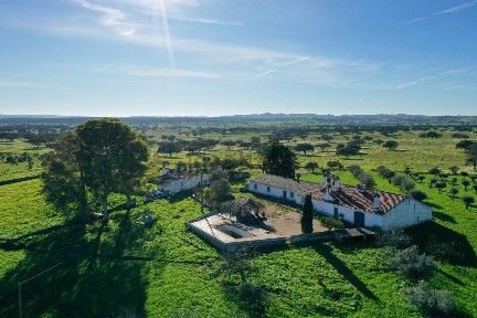 Monte alentejano à venda em Nossa Senhora da Conceição