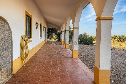 Herdade à venda em São Pedro Gafanhoeira