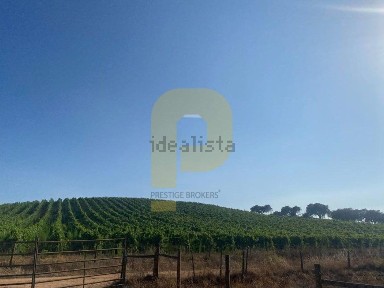 Herdade à venda em São Cristóvão