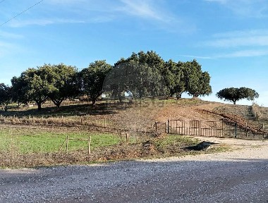 Estremoz, Évora