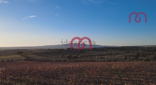 Quinta à venda em Pardais