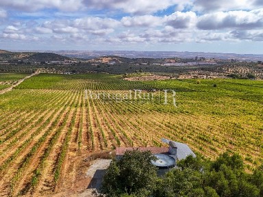 Quinta à venda em Conceição